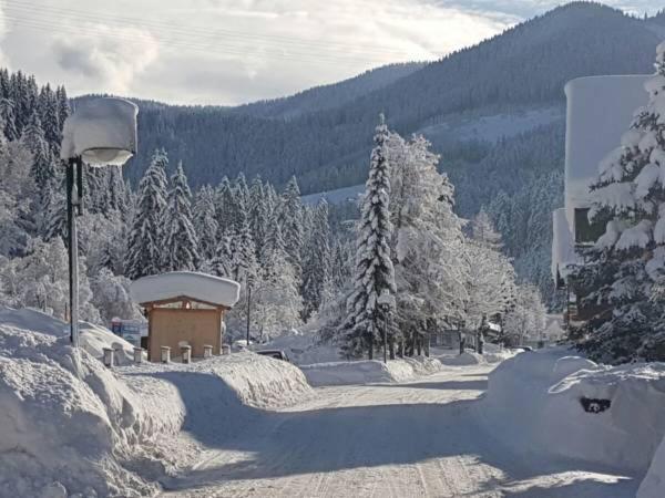 Apartment Holiday Lungötz Annaberg im Lammertal Dış mekan fotoğraf