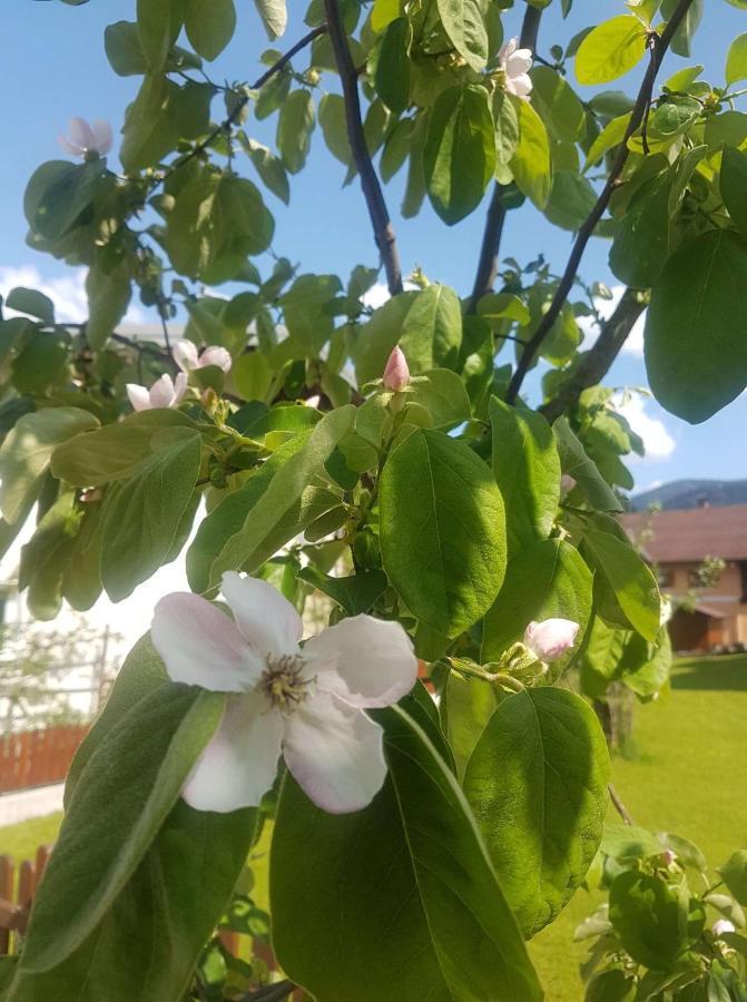 Apartment Holiday Lungötz Annaberg im Lammertal Dış mekan fotoğraf